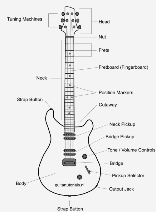The anatomy of the guitar